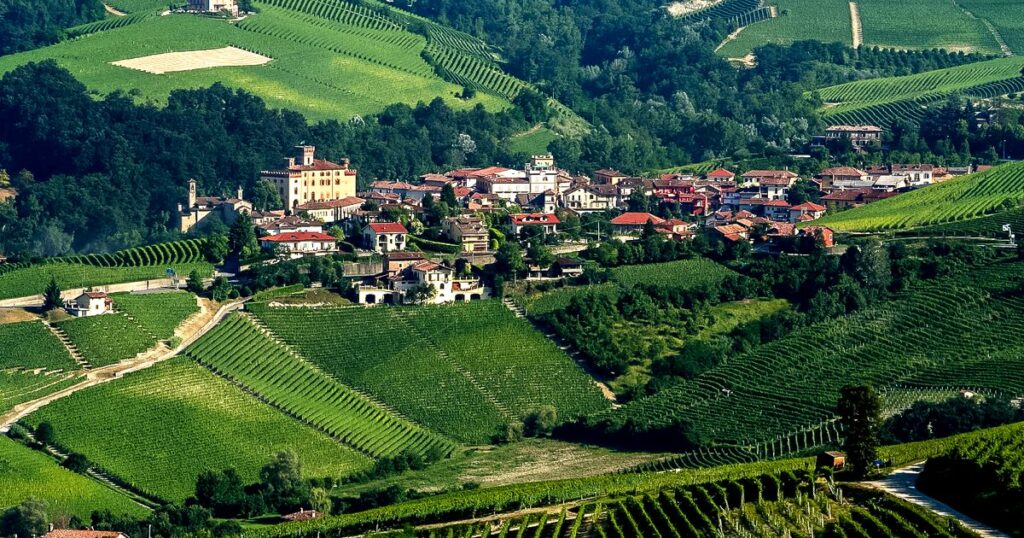 Vinvandring storslagna Piemonte & Barolo