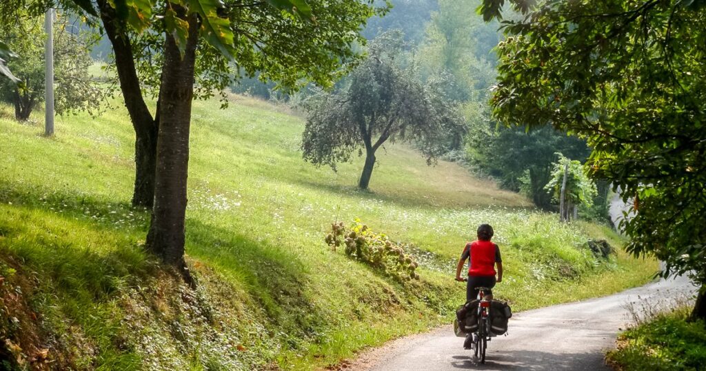 Vincykling i vackra Piemonte & Barolo