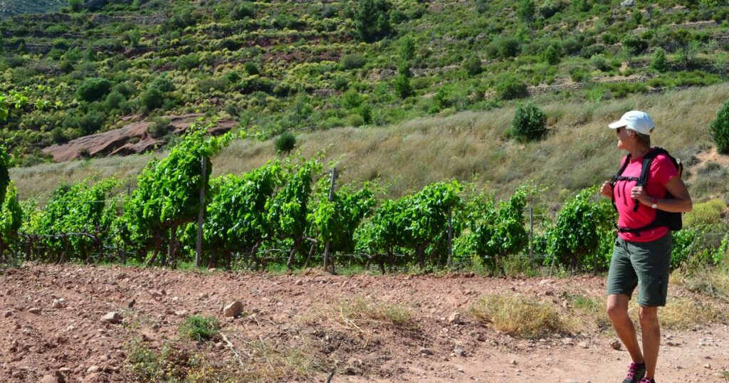 Priorat - vandring och vin