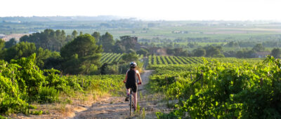 Rioja bike