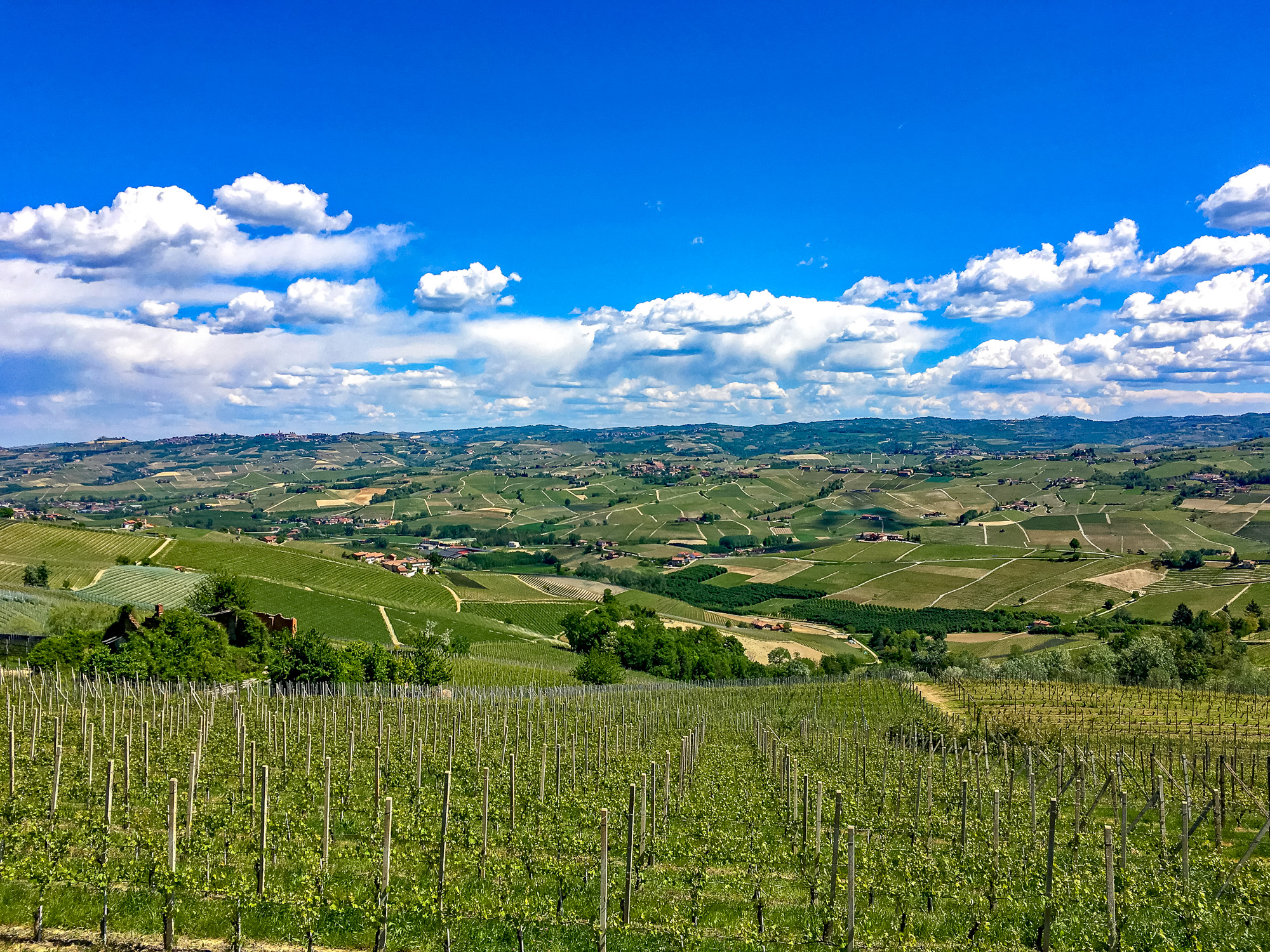 eurobike_radreise_turin_sanremo_weinberge_aussicht-1