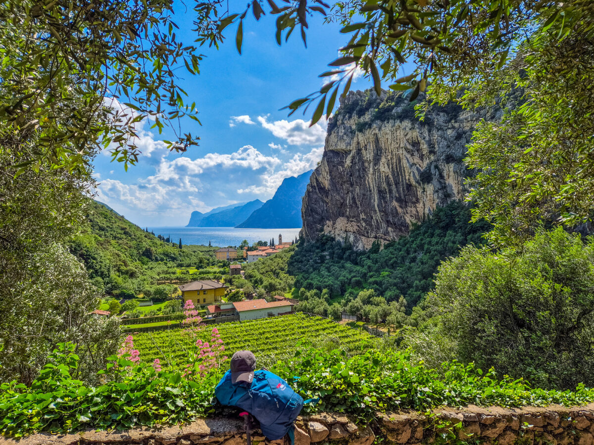 eurohike_wanderreisen_gardasee_nago_seeblick_weinberg-1