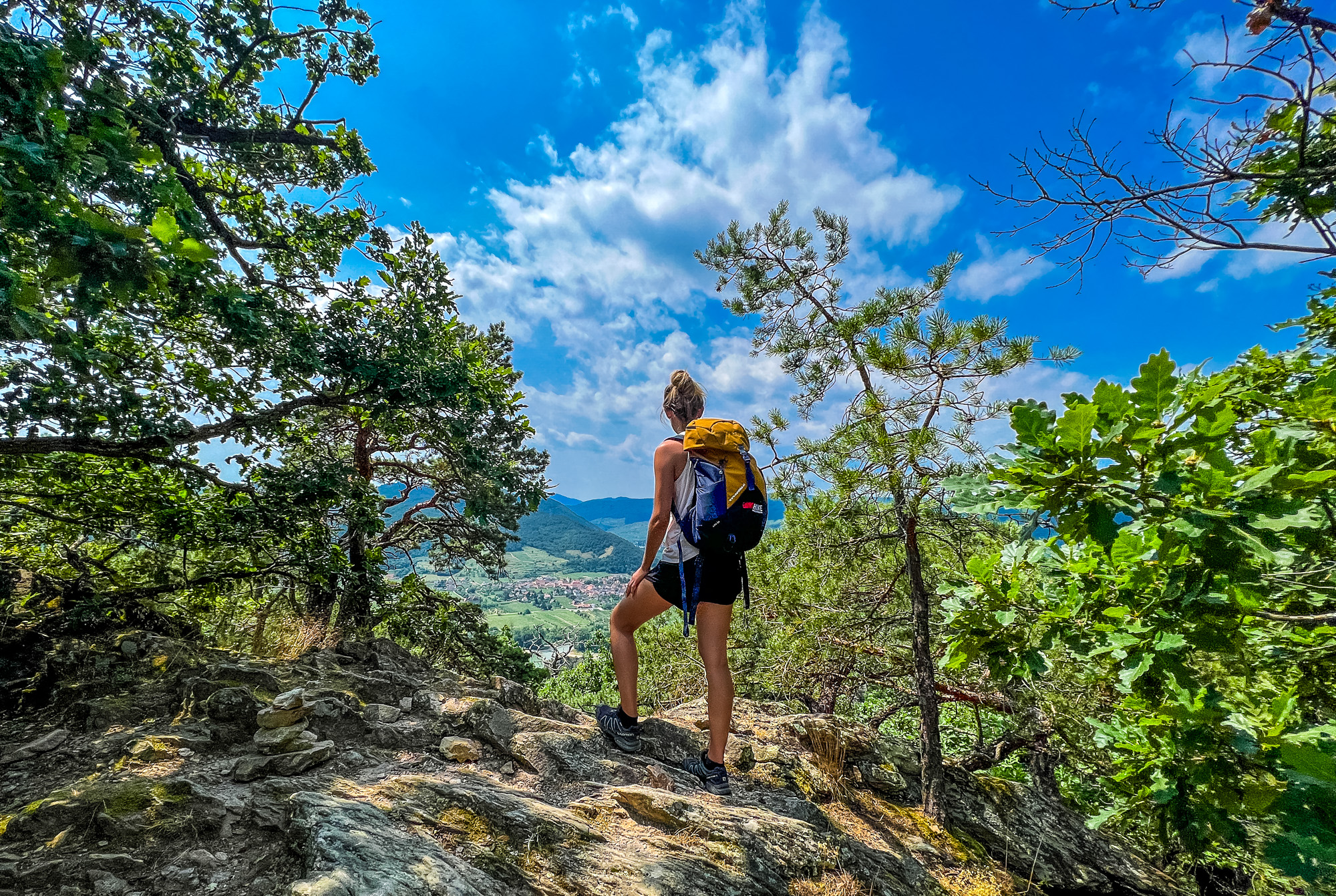eurohike_wanderreisen_welterbesteig_wachau_krems_duernstein_talblick_wanderer-10