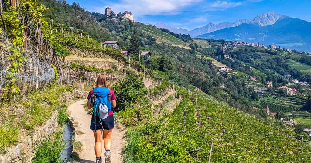 Vinvandring i Sydtyrolen